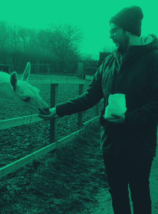 A photo of Zack Neary-Hayes feeding a llama